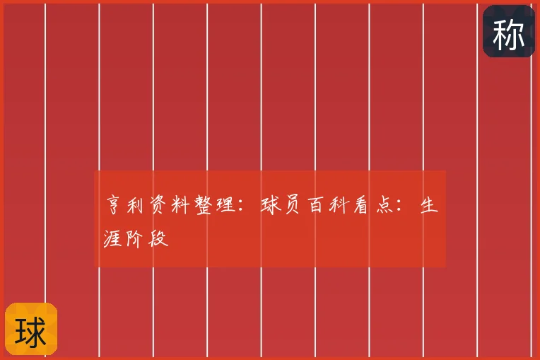 亨利资料整理:球员百科看点:生涯阶段